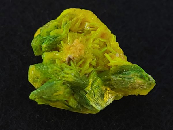 Autunite / Meta-Autunite Crystal - Fluorescent Uranium Ore - 3 Grams