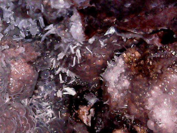 Botryoidal Hyalite Opal, Goethite, Schorl Tourmaline & Haiweeite - Erongo Mountains, Namibia