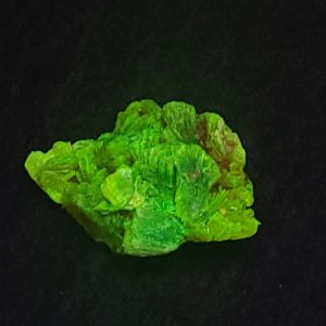 Autunite / Meta-Autunite Crystal - Fluorescent Uranium Ore - 2 Grams