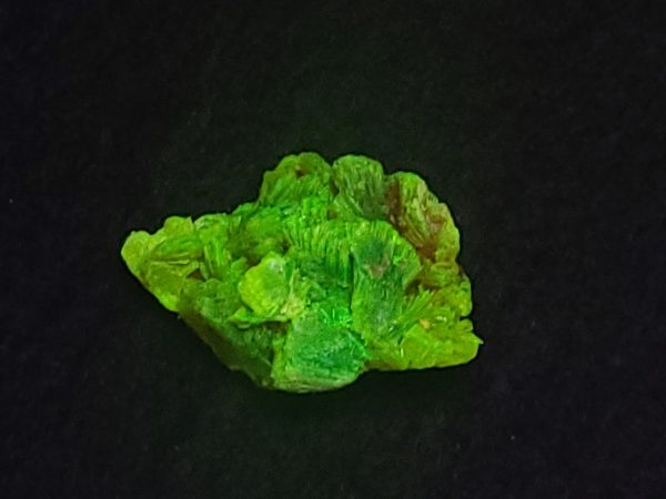 Autunite / Meta-Autunite Crystal - Fluorescent Uranium Ore - 2 Grams