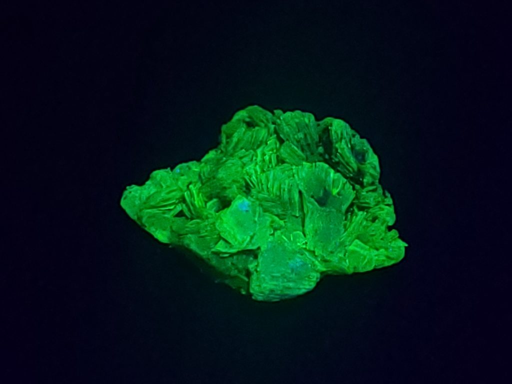 Autunite / Meta-Autunite Crystal  - Fluorescent Uranium Ore - 2 Grams