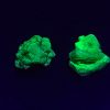 Autunite Pair, Fluorescent Uranium Ore Specimen 1700mg Total