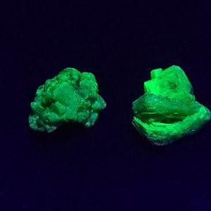 Autunite Pair, Fluorescent Uranium Ore Specimen 1700mg Total
