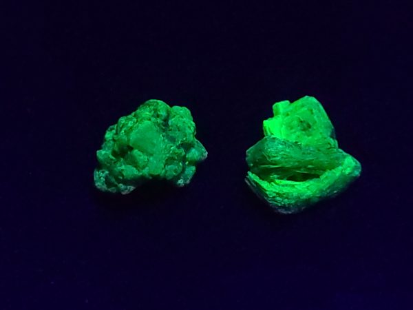 Autunite Pair, Fluorescent Uranium Ore Specimen 1700mg Total