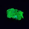 Autunite / Meta-Autunite Crystal, Stabilized- Fluorescent Uranium Ore - China - 1.9 Grams