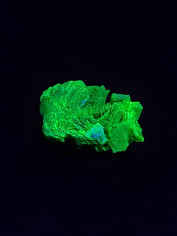Autunite / Meta-Autunite Crystal, Stabilized- Fluorescent Uranium Ore - China - 1.9 Grams