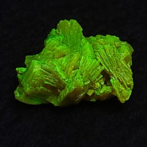 Autunite / Meta-Autunite Crystal, Stabilized- Fluorescent Uranium Ore - China - 1.7 Grams