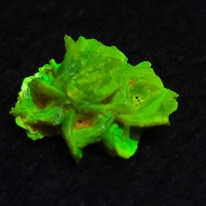 Autunite / Meta-Autunite Crystal, Stabilized- Fluorescent Uranium Ore - China - 1.9 Grams