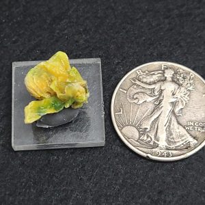 Autunite / Meta-Autunite Crystal, Stabilized- Fluorescent Uranium Ore - China - 2.5 Grams