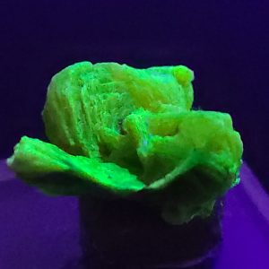 Autunite / Meta-Autunite Crystal, Stabilized- Fluorescent Uranium Ore - China - 2.3 Grams