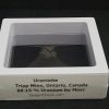 raninite Crystal - Tripp Mine, Cardiff Township, Ontario, Canada - Uranium Ore