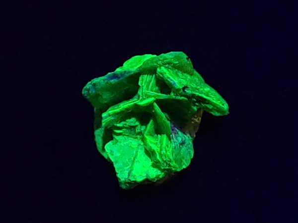 Autunite / Meta-Autunite Crystal, Stabilized- Fluorescent Uranium Ore - China - 1.5 Grams