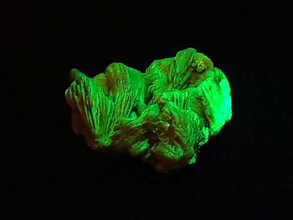 Autunite / Meta-Autunite Crystal, Stabilized- Fluorescent Uranium Ore - China - 4 Grams