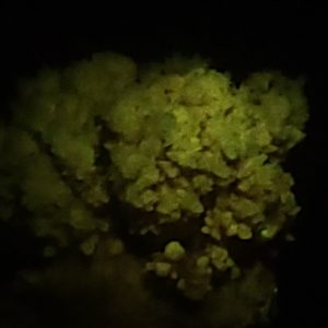 Phosphorescent Calcite Crystal - China