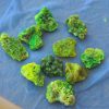 10 Autunite Specimens Weighing 20 Grams Total - Bulk Uranium Ore