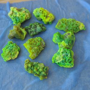 10 Autunite Specimens Weighing 20 Grams Total - Bulk Uranium Ore