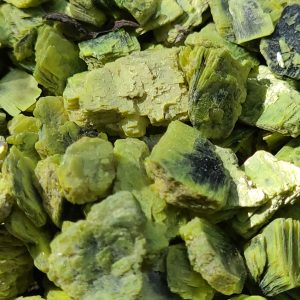 25 Grams of Autunite Flakes in a Lead Pig - Bulk Uranium Ore