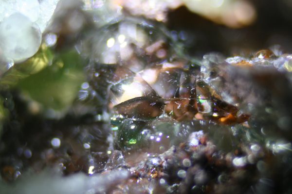 Botryoidal Hyalite Opal after Haiweeite - Erongo Mountain Namibia