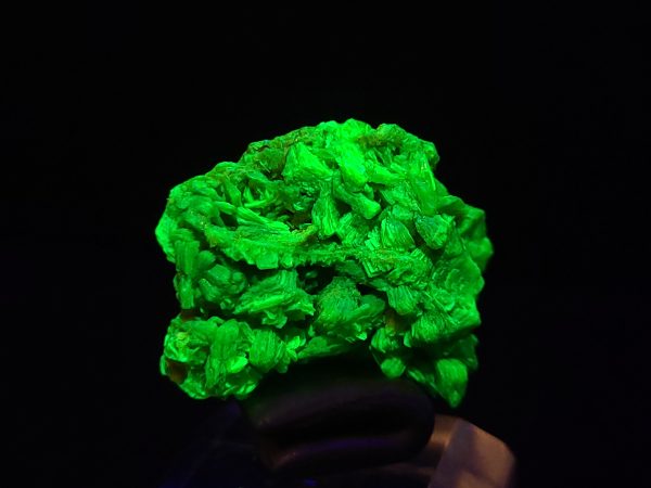 Autunite / Meta-Autunite Crystal, Stabilized- Fluorescent Uranium Ore 3.5 Grams8