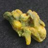 Autunite / Meta-Autunite Crystal, Stabilized- Fluorescent Uranium Ore ~ 4.7 Grams