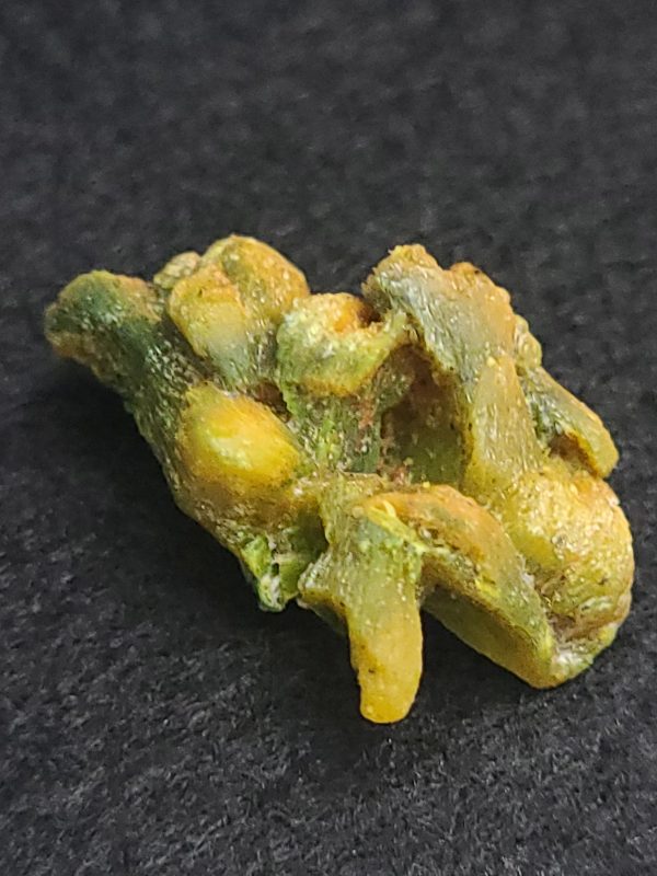 Autunite / Meta-Autunite Crystal, Stabilized- Fluorescent Uranium Ore ~ 4.7 Grams