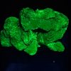 Autunite / Meta-Autunite Crystal, Stabilized- Fluorescent Uranium Ore ~ 4.7 Grams