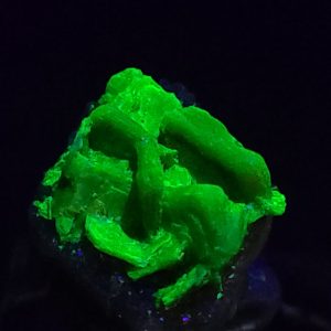 Autunite / Meta-autunite Crystals on Matrix - Fluorescent Uranium Ore