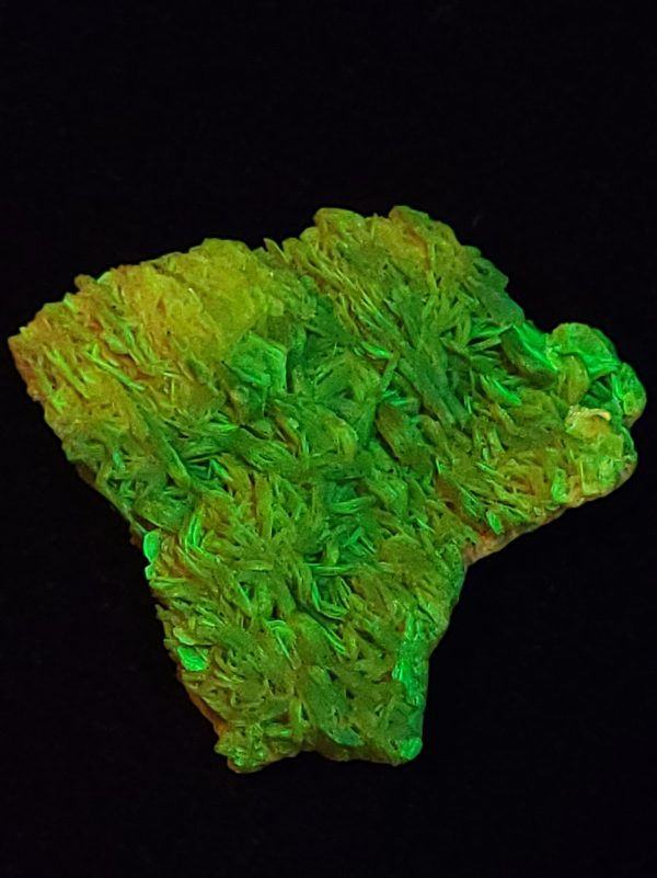 Autunite Crystal, Stabilized- Fluorescent Uranium Ore ~ 4 Grams