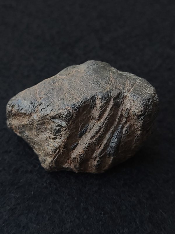 Euxenite-(y) Crystal - Petaca Mining District, New Mexico, USA