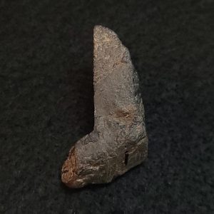 Euxenite-(y) Crystal - Petaca Mining District, New Mexico, USA