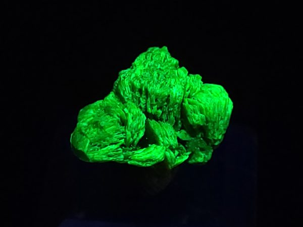 Autunite / Meta-Autunite Crystal, Stabilized- Fluorescent Uranium Ore ~ 2.5 Grams
