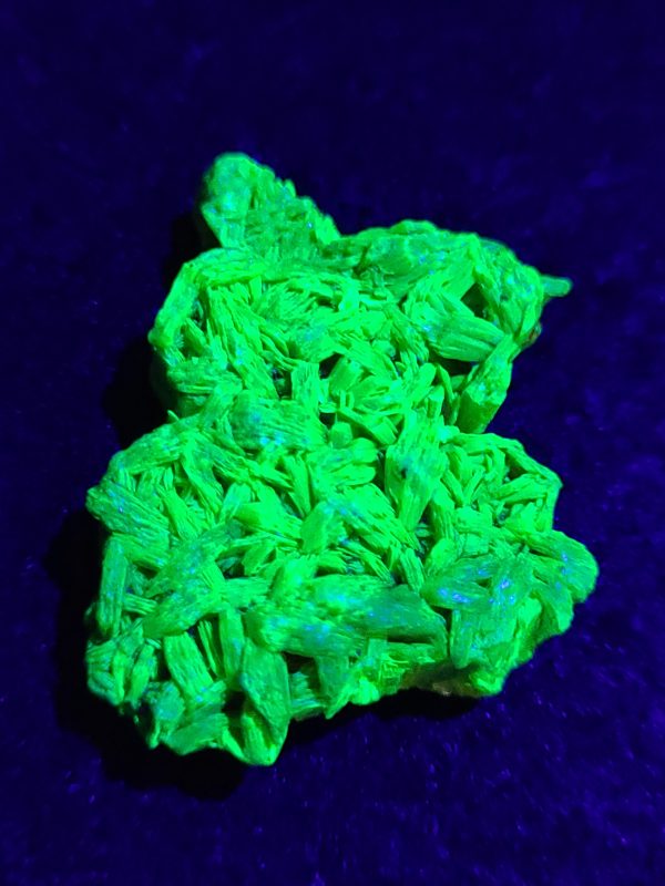 Autunite / Meta-Autunite Crystal, Stabilized- Fluorescent Uranium Ore ~ 6.5 Grams