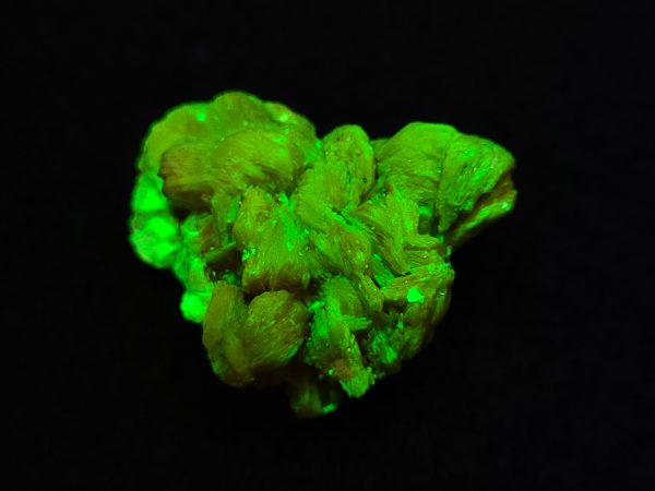 Autunite / Meta-Autunite Crystal, Stabilized- Fluorescent Uranium Ore ~ 9 Grams