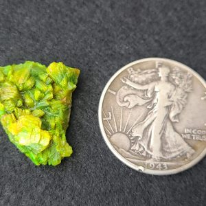 Autunite / Meta-Autunite Crystal, Stabilized- Fluorescent Uranium Ore ~ 8 Grams