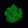 Meta-autunite Crystal Fluorescent Uranium Ore Specimen, Stabilized - 3.1 Grams