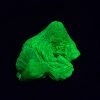 Lamellar Autunite Crystal, Stabilized- Fluorescent Uranium Ore ~ 2 Grams