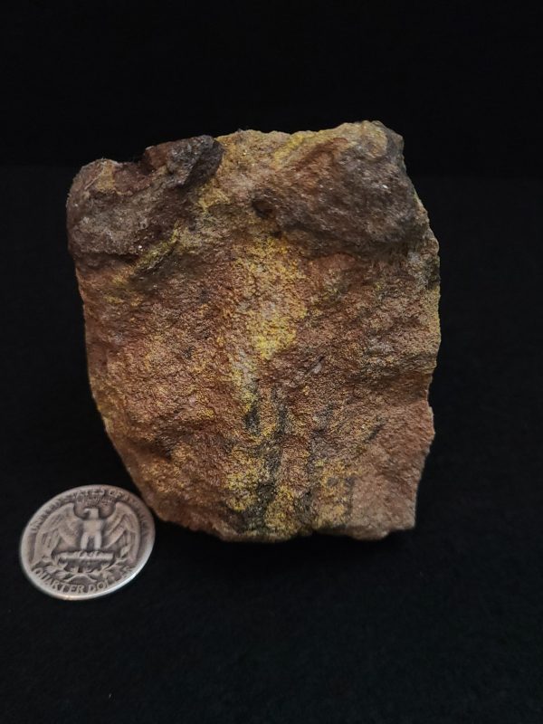 Uraninite and Carnotite in Matrix ~ Moab Utah, USA