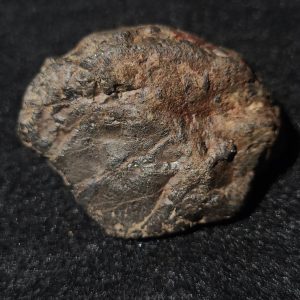 Euxenite-(y), Columbite-(Fe) & Monazite-(Ce) Petaca Mining District, New Mexico, USA (Copy)