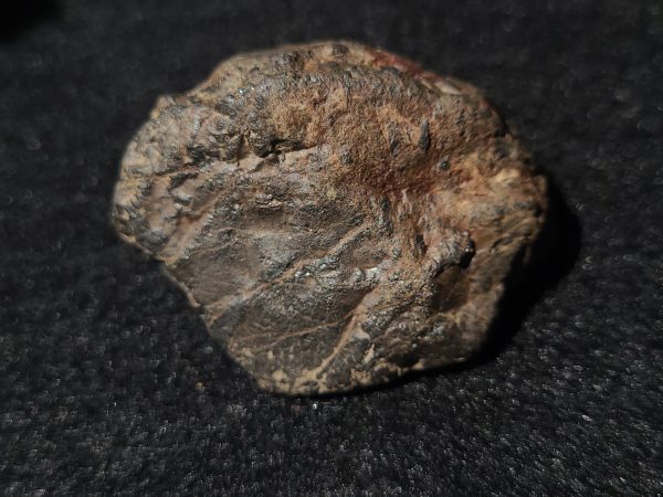 Euxenite-(y), Columbite-(Fe) & Monazite-(Ce) Petaca Mining District, New Mexico, USA (Copy)