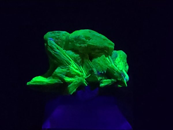 Autunite / Meta-Autunite - Fluorescent Uranium Ore ~ 2.6 Grams