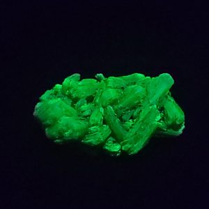 Autunite / Meta-Autunite - Fluorescent Uranium Ore ~ 1.4 Grams
