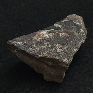 Uraninite var Pitchblende on Matrix ~ Příbram, Czechia