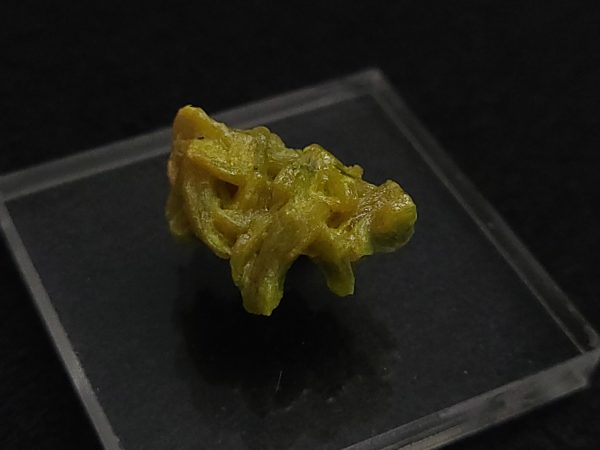Autunite / Meta-Autunite - Fluorescent Uranium Ore ~ 2.8 Grams