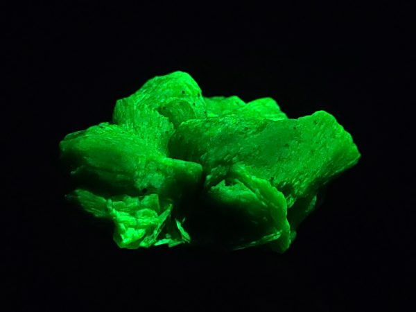 Autunite/Meta-Autunite Crystal - Fluorescent Uranium Ore ~ 4.9 Grams