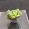 Autunite/Meta-Autunite Crystal - Fluorescent Uranium Ore ~ 3.4 Grams