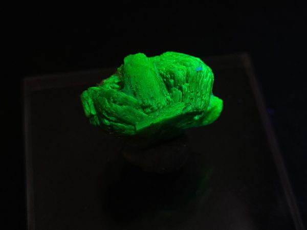Autunite/Meta-Autunite Crystal - Fluorescent Uranium Ore ~ 3.4 Grams