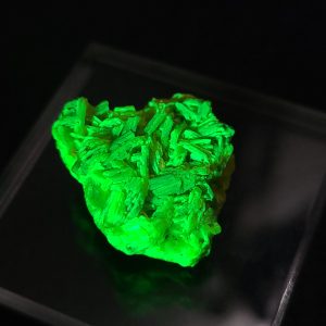 Autunite/Meta-Autunite - Fluorescent Uranium Ore ~ 4 Grams