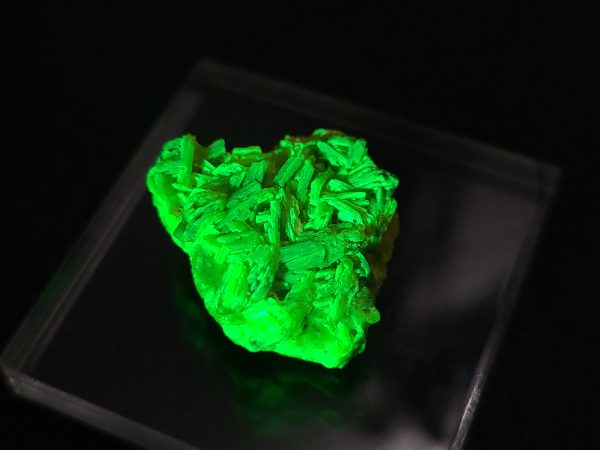Autunite/Meta-Autunite - Fluorescent Uranium Ore ~ 4 Grams