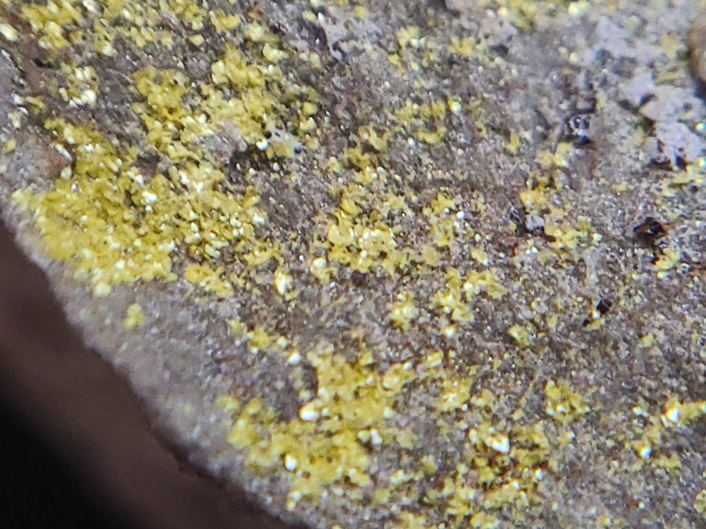 Tyuyamunite Crystals on Matrix - Qinglong Guizhou, China