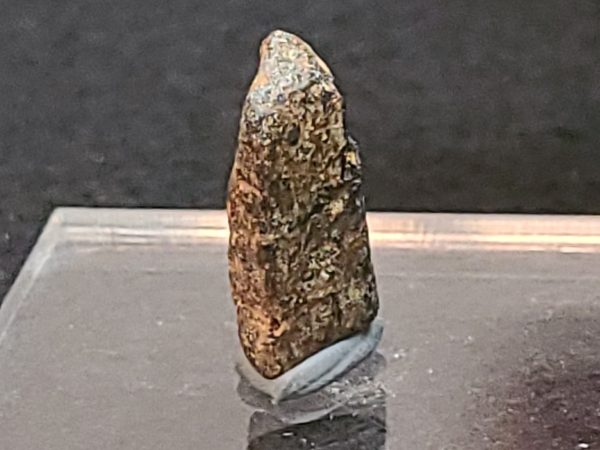 Thorite Crystal ~ Pakistan 2.3 Grams Thorium Ore